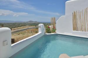 Villa kleio Naxian album with private pool Naxos Greece