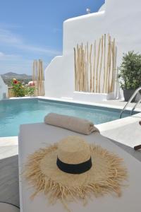 Villa kleio Naxian album with private pool Naxos Greece