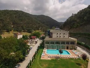 Sarot Termal Park Resort & Spa - Halal Hotel - Kındıra