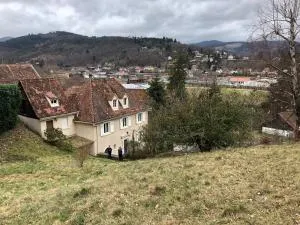 Françoise's Villa Luxury Hot Tub Mountain Ski - Munster - Eschbach-au-Val