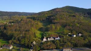 Françoises Villa Luxury Hot Tub Mountain Ski - Munster