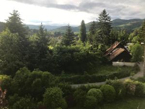 Françoises Villa Luxury Hot Tub Mountain Ski - Munster