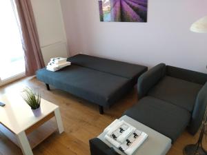 Apartament na Bukowskiego