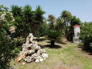 Villa Secchi bifamiliare sul mare IUNP4784 img59