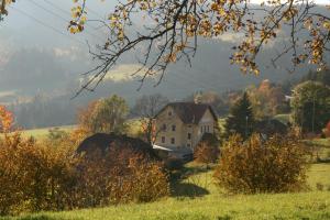 Alte Volksschule - schual in gradne