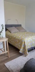 Suojalantie 4 - Sappu