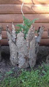 Apartmány na Hlíně