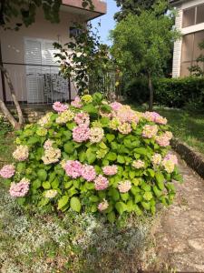 Studio Villa Mattossi