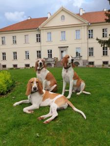 Pensión Pałac Nakomiady Nakomiady Polonia