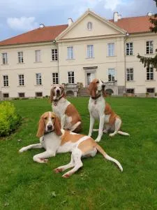 帕拉卡那可米带旅馆 - Koczarki