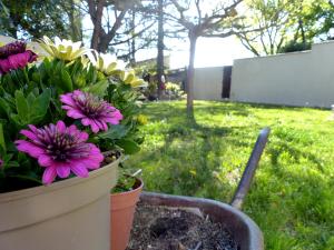 Villa - La quiétude de St Antoine - piscine privée