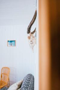 Surf Palace photo 21