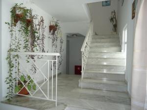 Zorbas Hotel & Studios Samos Greece