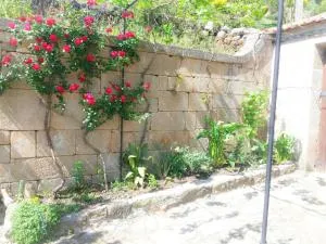 Casa de Campo Cabriz Casa do Brasileiro - Cerva