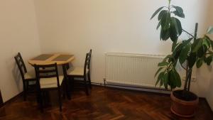 Cosy studio-apartament