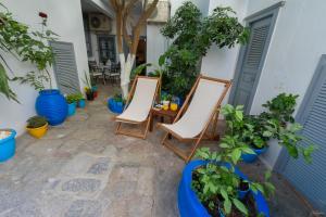 Hydras Pearl - Blue Pearl