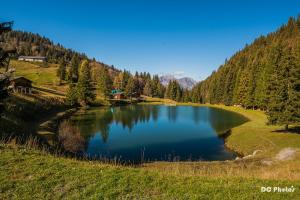 Appartements Chalet Les Combes : photos des chambres