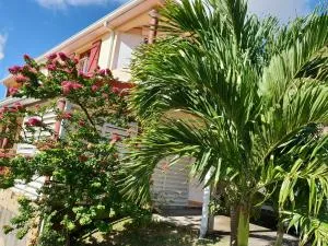 Vert Océan - Morne Courbaril