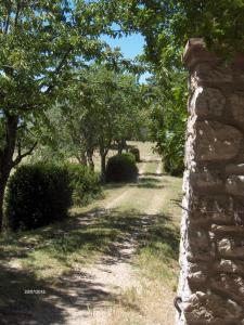 Agriturismo Il Palazzetto