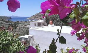 Villa Costa Studios Sifnos Greece