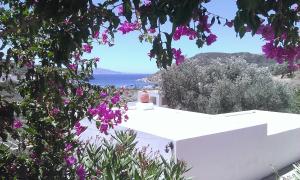 Villa Costa Studios Sifnos Greece