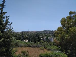 The Cypress Valley (1-2 km from Faliraki) Rhodes Greece