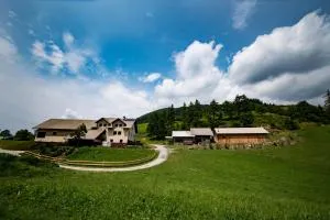 Tourist Farm Pr'Dovar - 戈雷尼斯卡地区采尔克列