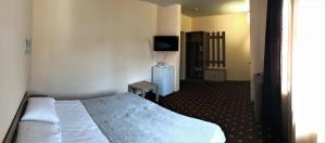 Double or Twin Room room in Hotel Olimp