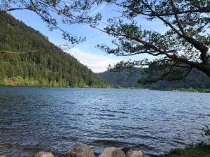 Chalets Chalet LE TREMPLIN - wifi, BBQ, parking : photos des chambres