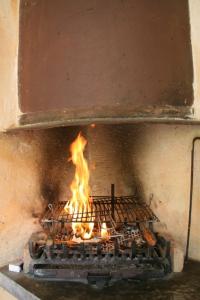 Gites La Salamandre Bleue : photos des chambres