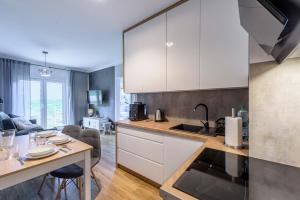 Apartament Tajemnica Izerska 5D Apartamenty