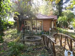 Oase in Mitten der Stadt - 埃施韦格