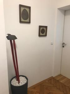 Lilians modern Appartement in historical Citycenter