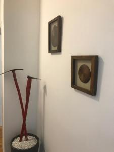Lilians modern Appartement in historical Citycenter