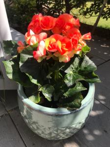 Villa Vaghi Rooms img51