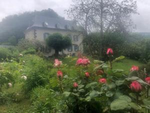 B&B / Chambres d'hotes Le Figarelou : Chambre Double Deluxe