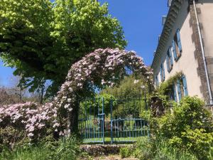 B&B / Chambres d'hotes Le Figarelou : photos des chambres