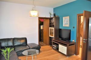 Apartament Robi