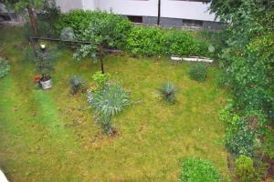 Apartament Robi