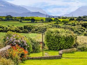 Holiday Home room in Coed Bolyn Lodge