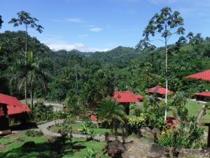 Pacuare River Lodge, Bajo Tigre