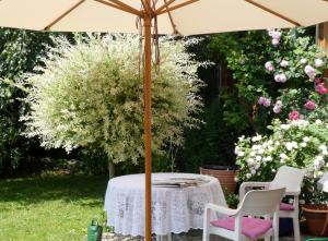 4-Sterne Ferienhaus Rösslewiese Hinterzarten