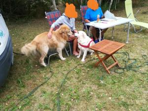 Bungalov WOMO Stellplatz Berenštajn Nemačka