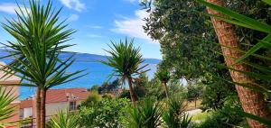 Duce Apartment Mendula