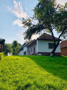 Pensiunea Aer de Munte