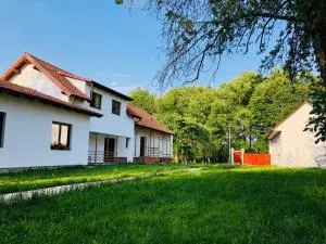 Pensiunea Aer de Munte - Sâmbăta de Sus