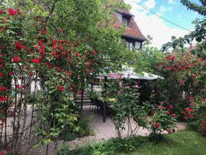 Appartements La Cour Zaepffel : photos des chambres
