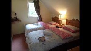5 bedroom Lodge in Portumna Forest Park Ireland