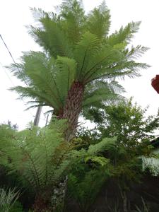 Pousada O Canto do Sabia