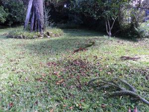 Pousada O Canto do Sabia